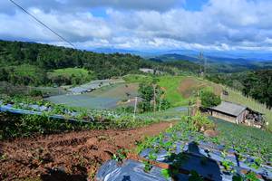 BIB: 
                            <button type="button" onclick="openModal(13379379)" class="btn btn-primary btn-sm float-right btn-popup" data-toggle="modal" data-target=".modal-high-quality">
                        <i class="fas fa-shopping-cart"></i> Add to Cart
                    </button>
                                            <button type="button" onclick="isThisMe(13379379, true)" class="btn btn-success btn-sm float-right btn-popup btn-isme hidden" data-toggle="tooltip" data-placement="bottom" title="นี่คือรูปของคุณใช่ไหม คลิกที่นี่เพื่อเอาเข้าอัลบั้ม">
                        <i class="fas fa-plus"></i> Add to album
                    </button>
                    <button type="button" onclick="isThisMe(13379379, false)" class="btn btn-warning btn-sm float-right btn-popup btn-isnotme hidden">
                        <i class="fas fa-ban"></i> Remove from album
                    </button>